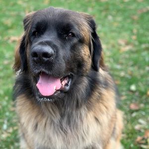 Meet your Posher, Barbara